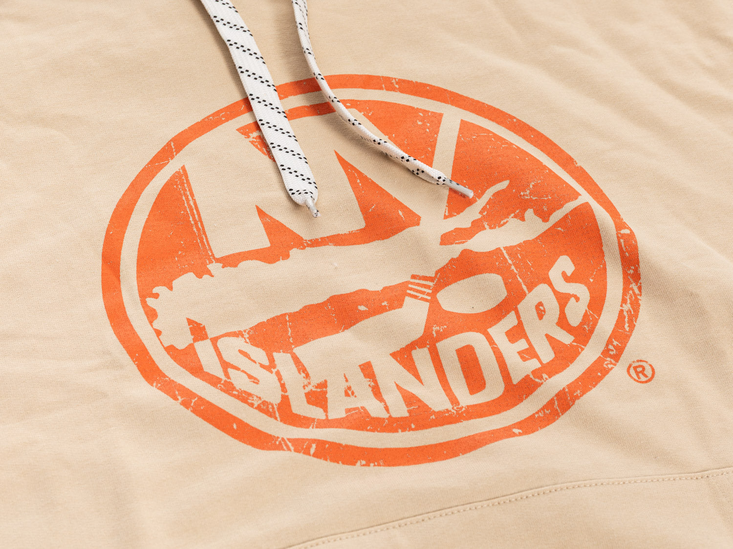 New York Islanders Vibes Hoodie